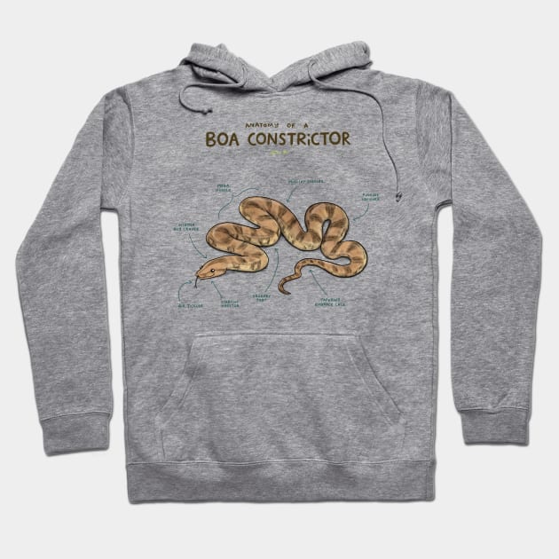 Anatomy of a Boa Constrictor Hoodie by Sophie Corrigan